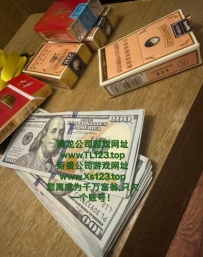 环球游戏下载网站www.TL123.top